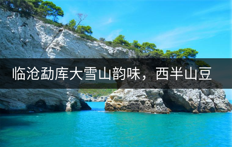 臨滄勐庫大雪山韻味，西半山豆腐寨古樹茶