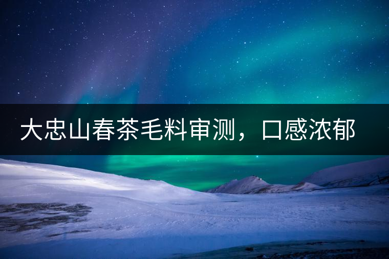 大忠山春茶毛料審測，口感濃郁花香與甜潤口感相得益彰