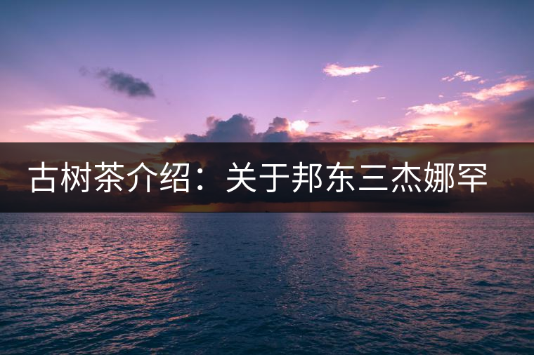 古樹茶介紹:關(guān)于邦東三杰娜罕的一些冷知識 古樹茶介紹:關(guān)于邦東三杰娜罕的一些冷知識