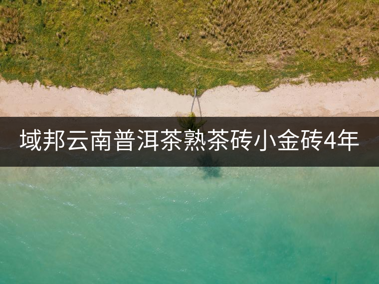 域邦云南普洱茶熟茶磚小金磚4年老茶250g 域邦云南普洱茶熟茶磚小金磚4年老茶250g