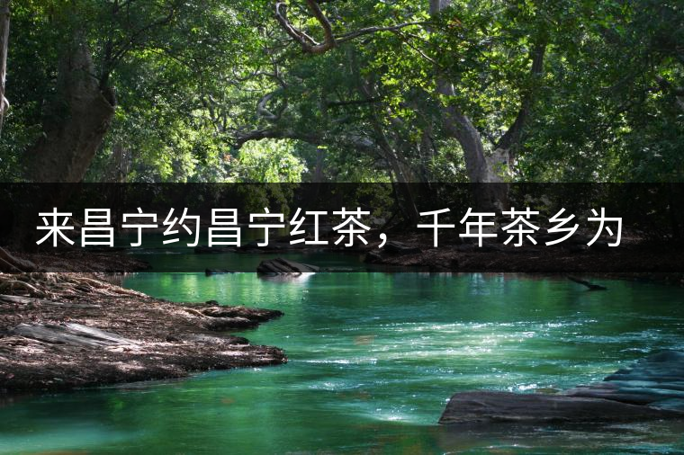 來昌寧約昌寧紅茶，千年茶鄉(xiāng)為您開啟生態(tài)之旅