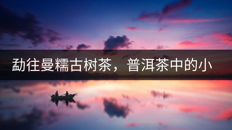 勐往曼糯古樹茶，普洱茶中的小班章