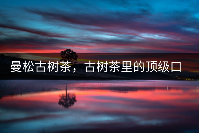 曼松古樹(shù)茶，古樹(shù)茶里的頂級(jí)口感
