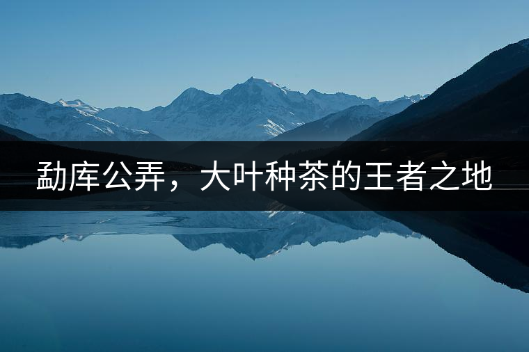 勐庫(kù)公弄，大葉種茶的王者之地