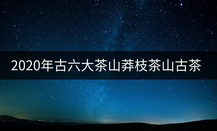 2020年古六大茶山莽枝茶山古茶園茶山行 2020年古六大茶山莽枝茶山古茶園茶山行