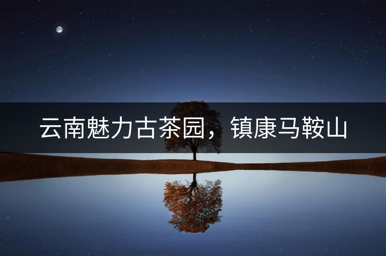 云南魅力古茶園，鎮(zhèn)康馬鞍山