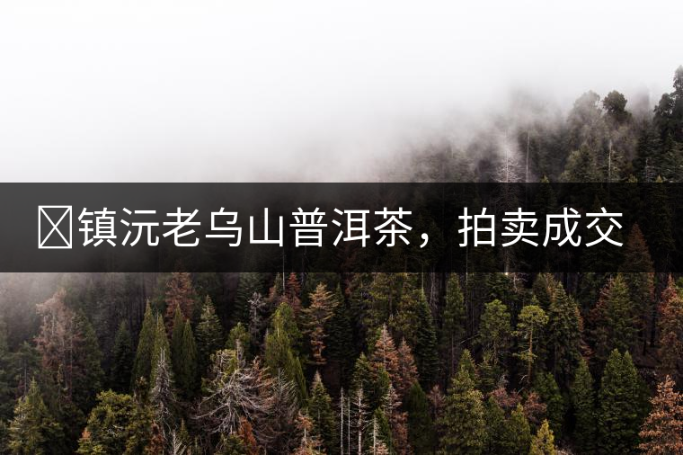 ?鎮(zhèn)沅老烏山普洱茶，拍賣成交價(jià)再創(chuàng)新高