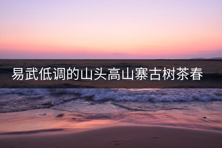 易武低調(diào)的山頭高山寨古樹茶春茶