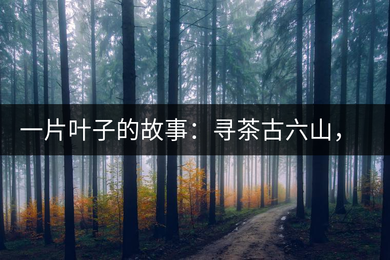 一片葉子的故事：尋茶古六山，倚邦最神秘