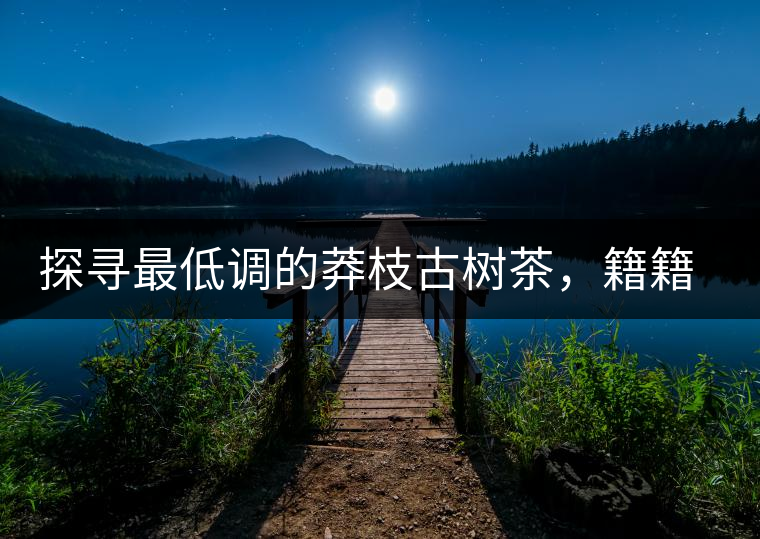 探尋最低調(diào)的莽枝古樹茶，籍籍無名出好茶