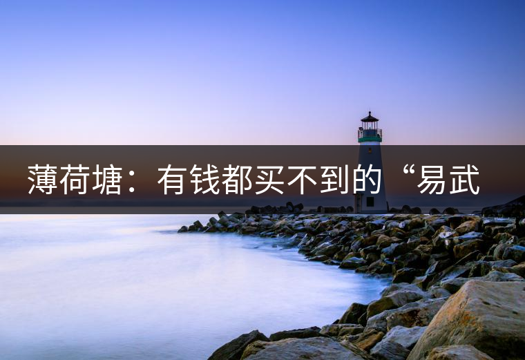 薄荷塘：有錢都買不到的“易武貴胄”，卓爾不群，無茶可及