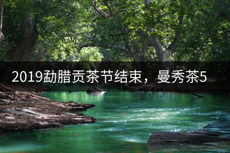 2019勐臘貢茶節(jié)結(jié)束，曼秀茶5公斤107萬(wàn)奪得金獎(jiǎng)