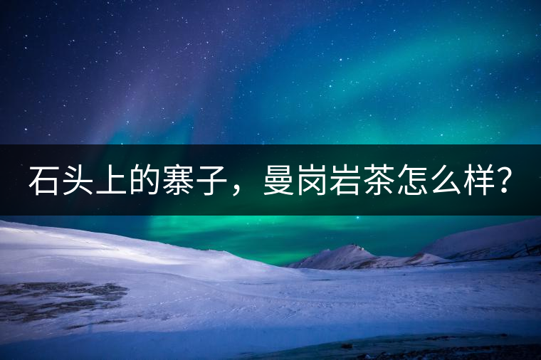 石頭上的寨子，曼崗巖茶怎么樣？