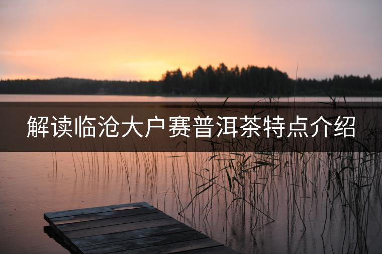 解讀臨滄大戶賽普洱茶特點介紹