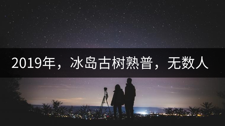 2019年，冰島古樹熟普，無數(shù)人在尋找