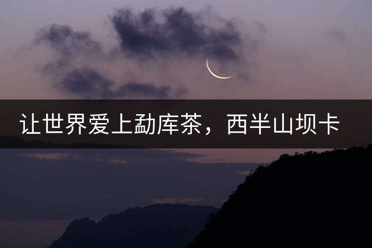 讓世界愛上勐庫茶，西半山壩卡古樹茶特點(diǎn)介紹