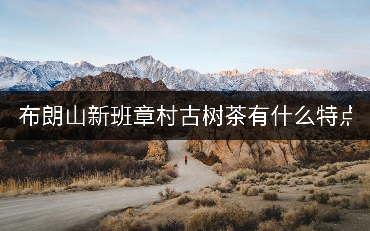 布朗山新班章村古樹茶有什么特點？