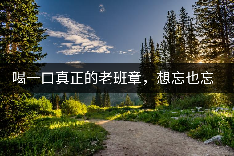 喝一口真正的老班章，想忘也忘不了的味道