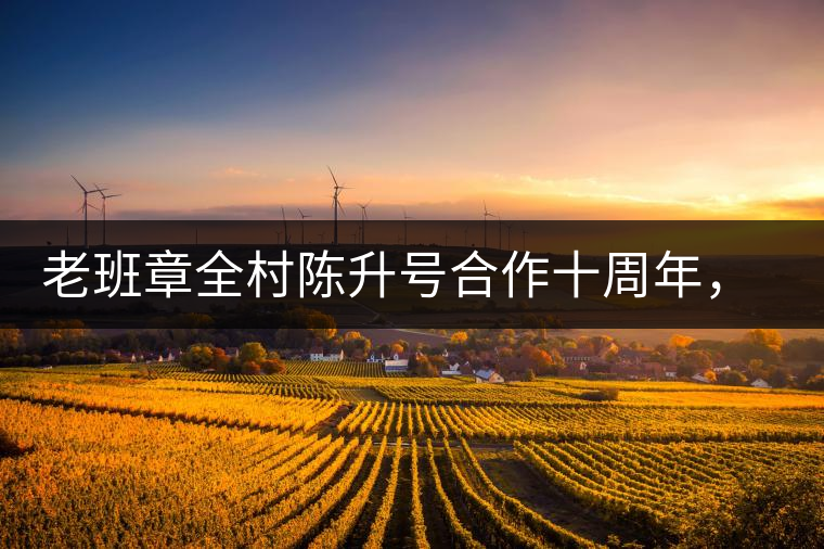 老班章全村陳升號合作十周年，贈送千兩百家茶