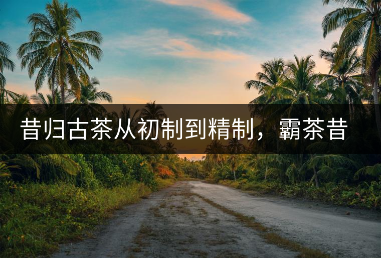 昔歸古茶從初制到精制，霸茶昔歸茶農(nóng)專業(yè)合作社成立