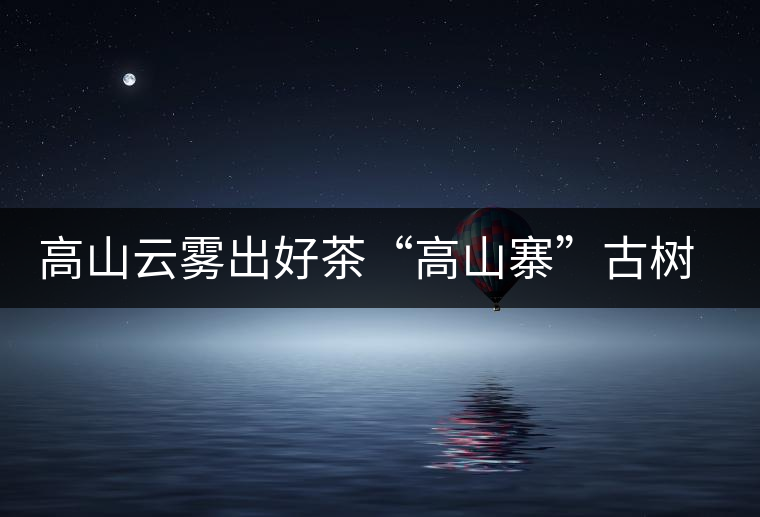 高山云霧出好茶“高山寨”古樹茶高海拔的獨(dú)特品質(zhì)