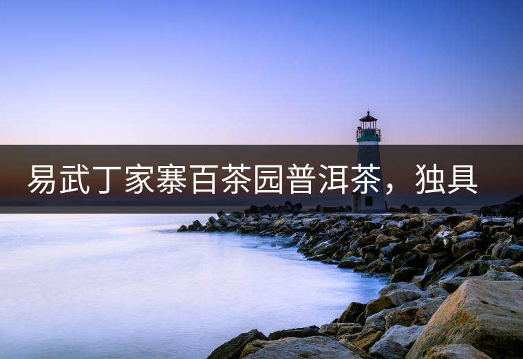 易武丁家寨百茶園普洱茶，獨具魅力的原始古樹茶