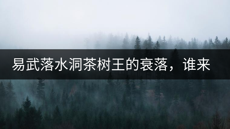 易武落水洞茶樹王的衰落，誰來關(guān)注古樹茶？