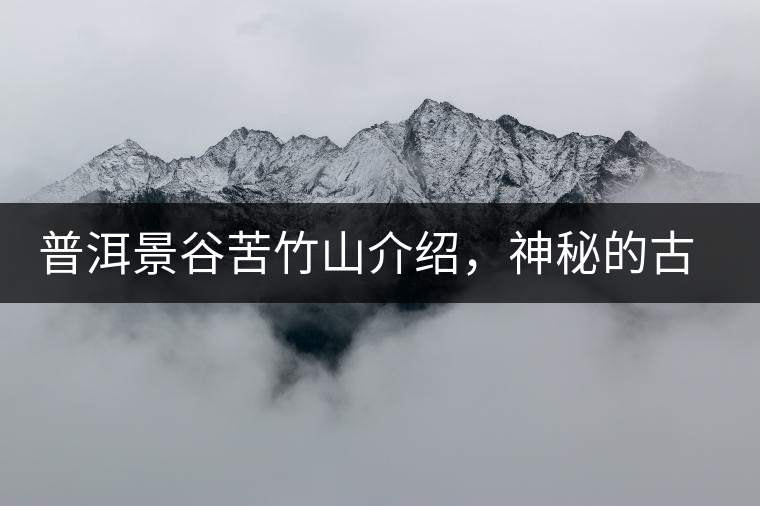 普洱景谷苦竹山介紹，神秘的古樹普洱茶原產地