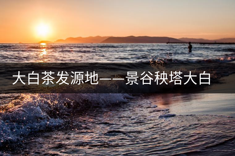 大白茶發(fā)源地——景谷秧塔大白茶特點(diǎn)介紹 大白茶發(fā)源地——景谷秧塔大白茶特點(diǎn)介紹
