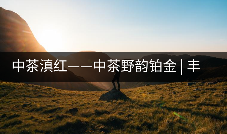 中茶滇紅——中茶野韻鉑金 | 豐苗挺秀，山野花香