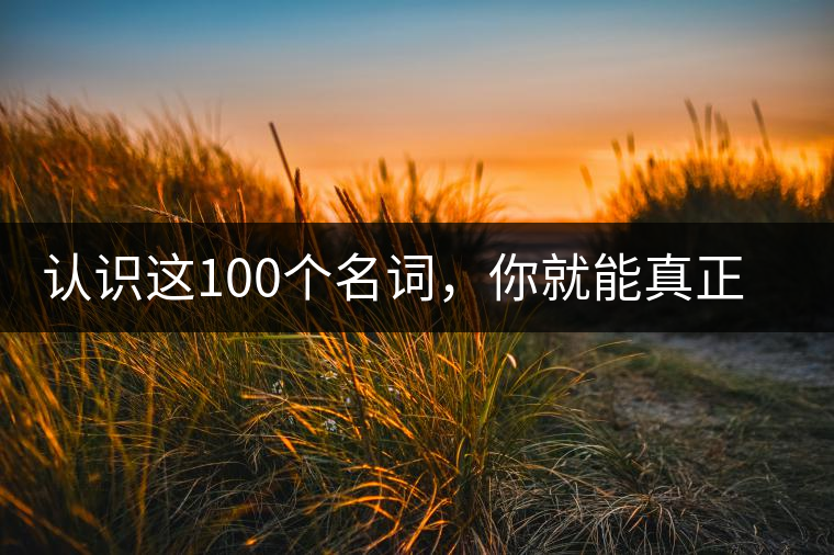 認識這100個名詞，你就能真正了解普洱茶？