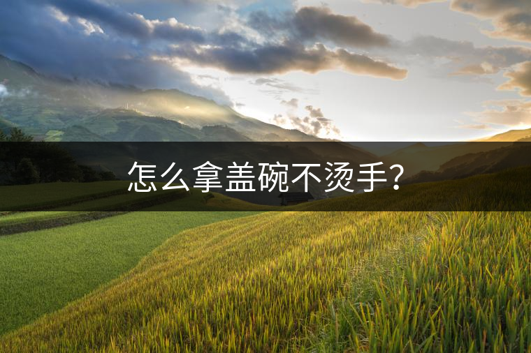 怎么拿蓋碗不燙手？