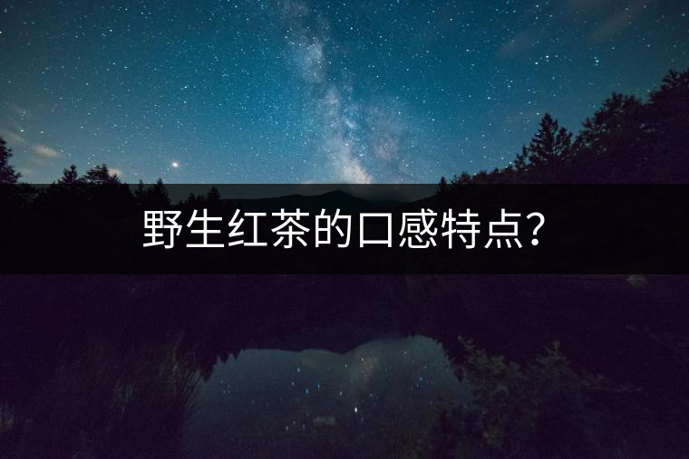 野生紅茶的口感特點？