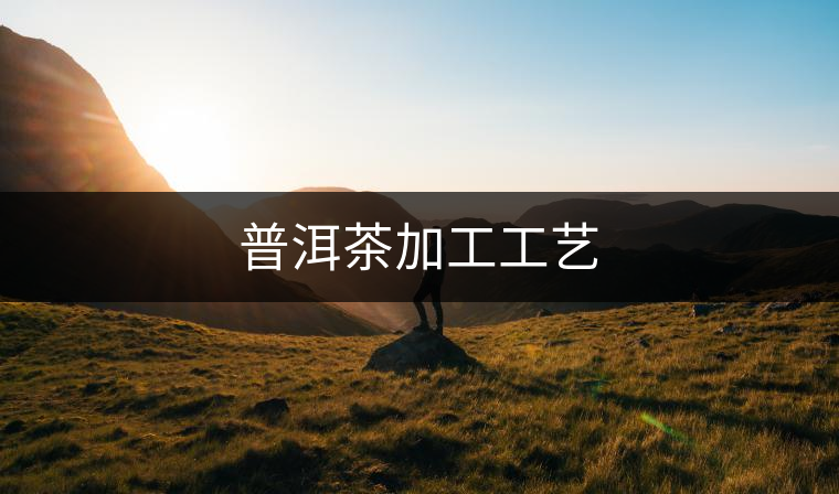 普洱茶加工工藝 普洱茶加工工藝