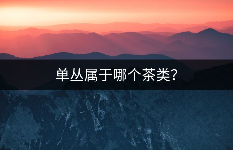 單叢屬于哪個茶類？