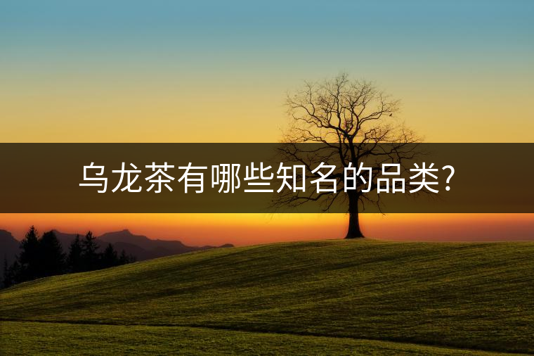 烏龍茶有哪些知名的品類(lèi)? 烏龍茶有哪些知名的品類(lèi)?