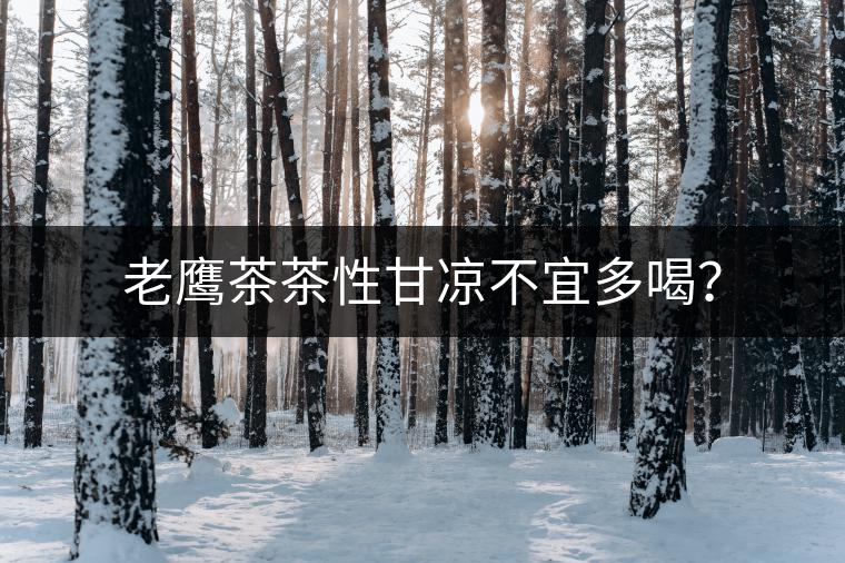 老鷹茶茶性甘涼不宜多喝？