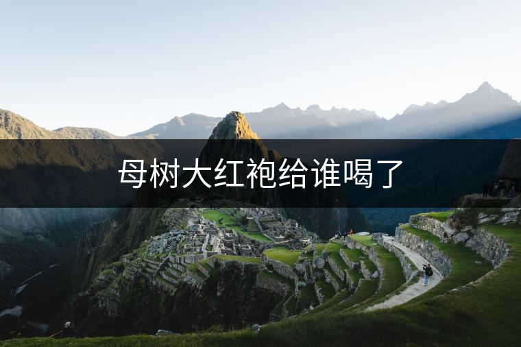 母樹大紅袍給誰(shuí)喝了 母樹大紅袍給誰(shuí)喝了