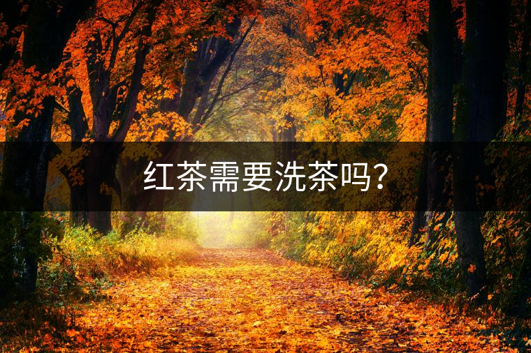 紅茶需要洗茶嗎？