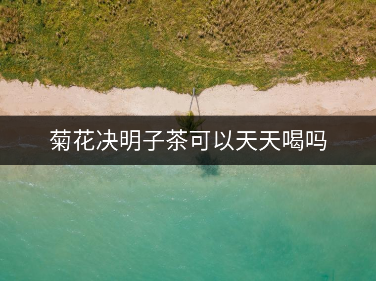 菊花決明子茶可以天天喝嗎 菊花決明子茶可以天天喝嗎