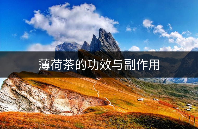 薄荷茶的功效與副作用
