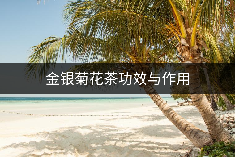 金銀菊花茶功效與作用 金銀菊花茶功效與作用