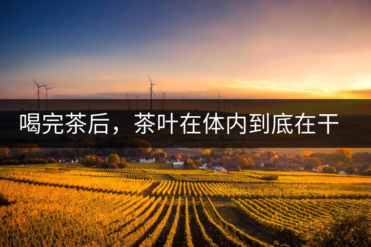 喝完茶后，茶葉在體內(nèi)到底在干嘛，游走的茶水