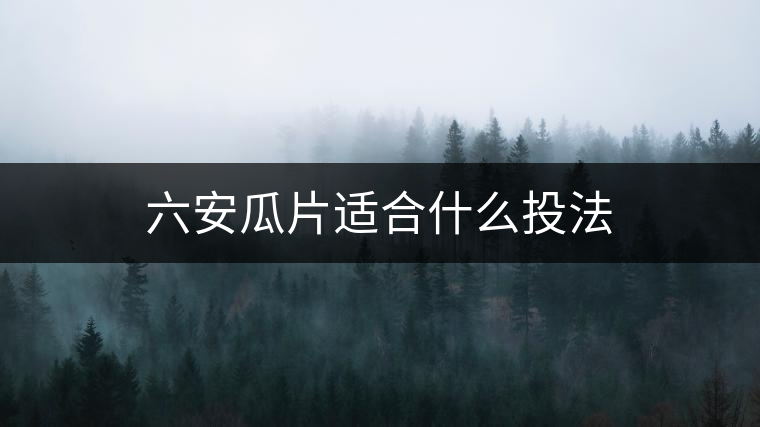 六安瓜片適合什么投法 六安瓜片適合什么投法