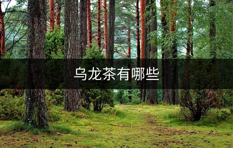 烏龍茶有哪些