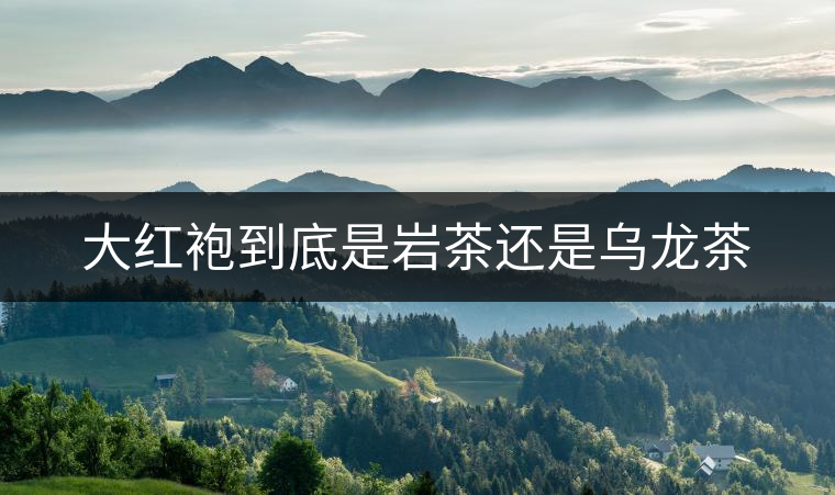 大紅袍到底是巖茶還是烏龍茶 大紅袍到底是巖茶還是烏龍茶