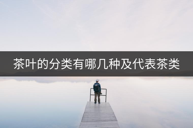 茶葉的分類有哪幾種及代表茶類
