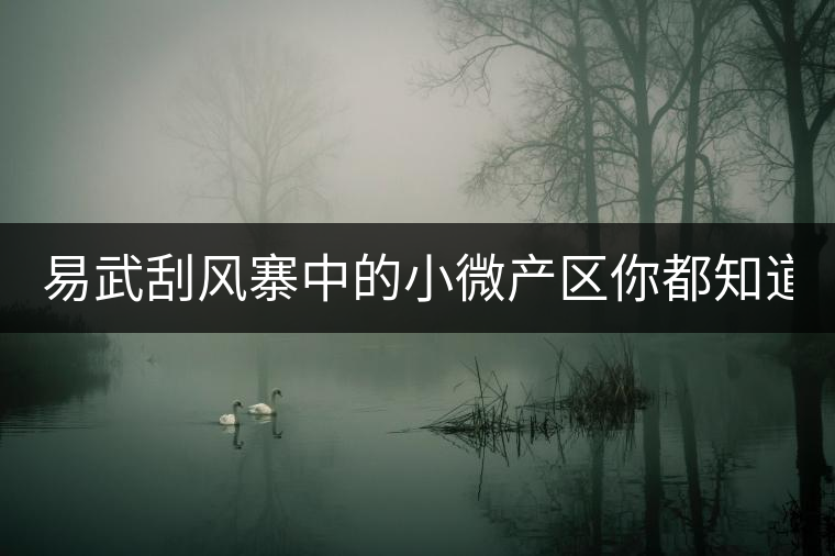 易武刮風(fēng)寨中的小微產(chǎn)區(qū)你都知道嗎？