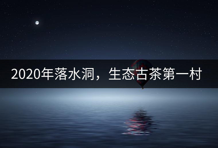 2020年落水洞，生態(tài)古茶第一村-易武中聘號(hào)