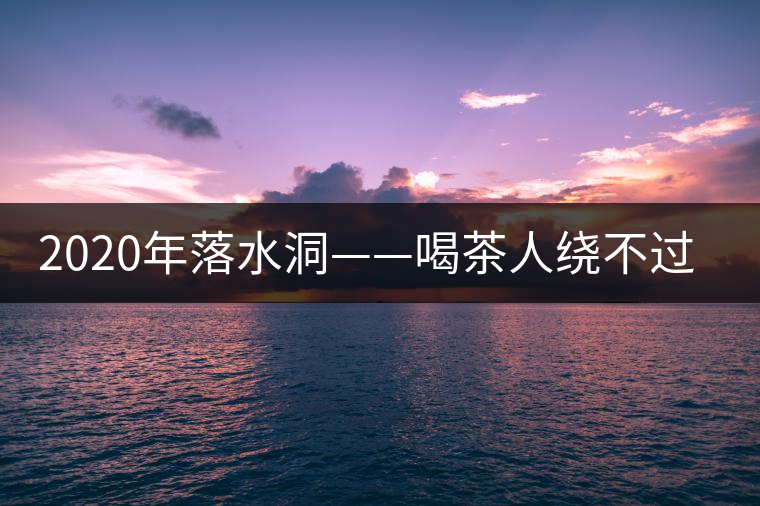 2020年落水洞——喝茶人繞不過的溫柔鄉(xiāng)！-易武中聘號